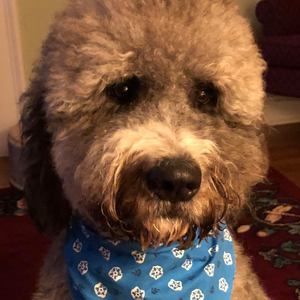 Meet your Posher, Christine